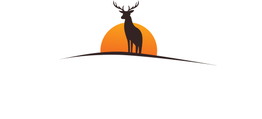 Restaurant – Café – Sonnenterrasse
